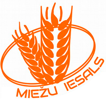 Meizu Iesals