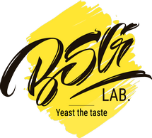 BSG LAB